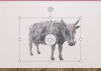 GIF de la vache en rotation
