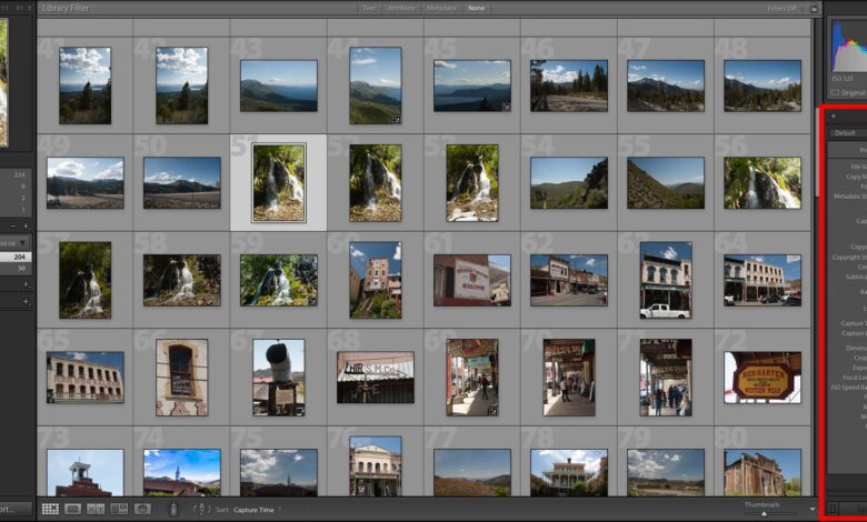 Appliquer des métadonnées à plusieurs photos dans Lightroom CC 2015