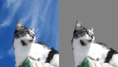 Comment utiliser l'outil Refine Edge dans Photoshop