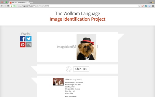 Capture d'écran du Wolfram Alpha Image Identification Project