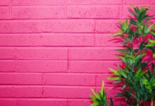 De quelle couleur est le fuchsia ? Symbolisme et utilisation dans le design