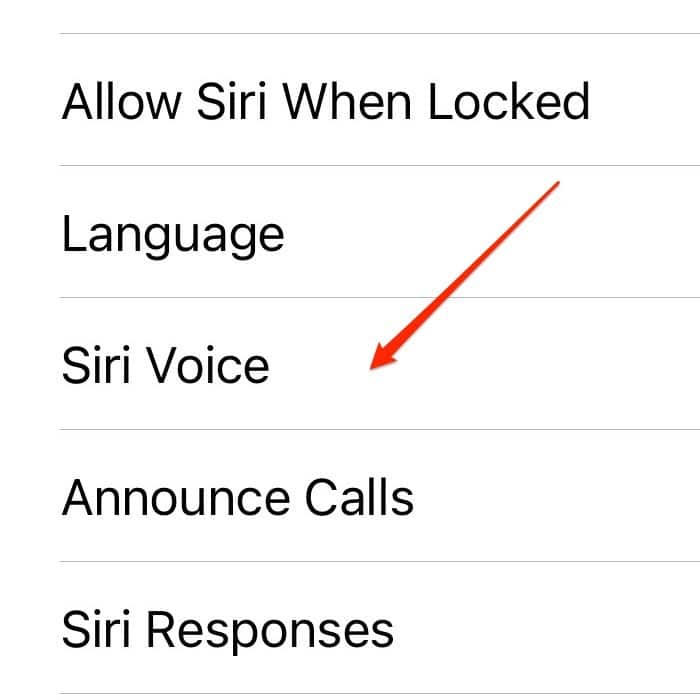 Paramètres de l'iPhone Siri Voice