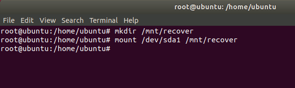 ubuntu-livecd-mount-partition