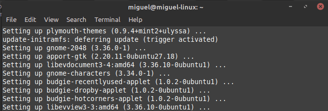 Terminal Linuxswitch