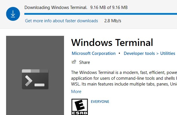 Téléchargement de terminal Windows