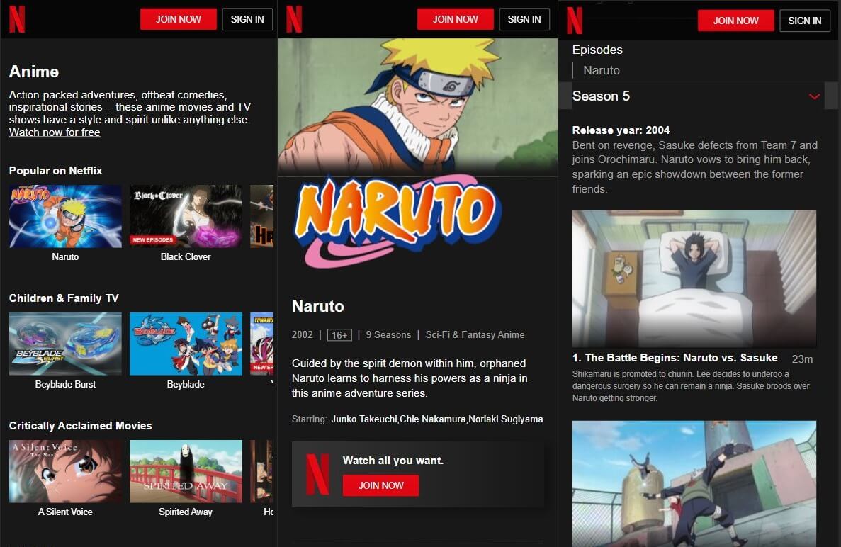 Application d'animation Netflix