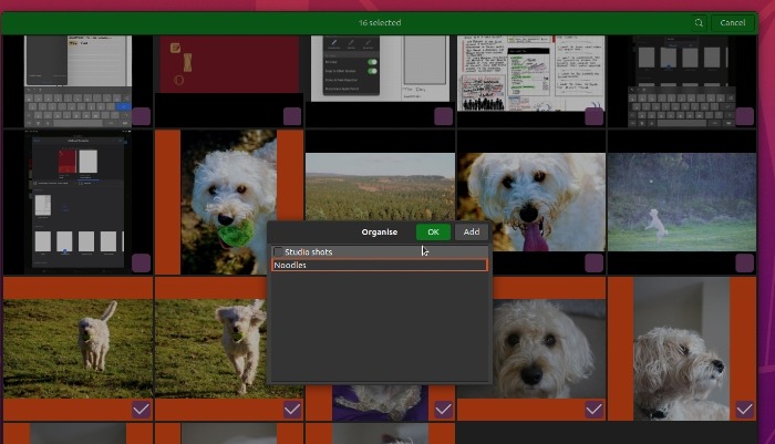 Capture d'écran de Gnome Photos montrant l'interface de configuration d'un album de photos sur un thème.

