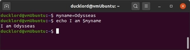 Le signe dollar ($) vous permet de configurer des variables à utiliser dans vos commandes.  Pour les voir en action, essayez d'entrer ce qui suit dans votre terminal :