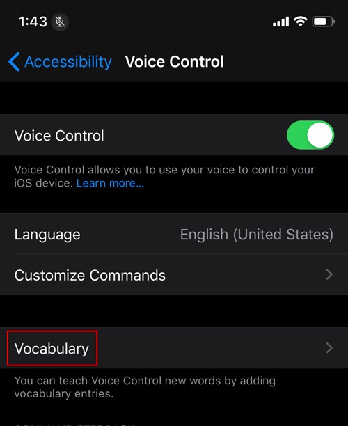 Activer le vocabulaire Ios de contrôle vocal