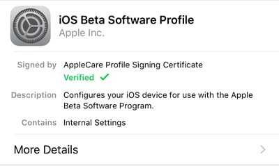 installer-ios-11-beta-profil
