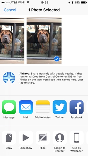 Vous pouvez partager vos photos et vidéos sur à peu près n'importe quel réseau de médias sociaux ou effectuer de nombreuses actions avec l'application Photos d'iOS 10+.