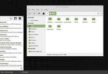 Examen de l'édition Linux Mint 19.3 Xfce