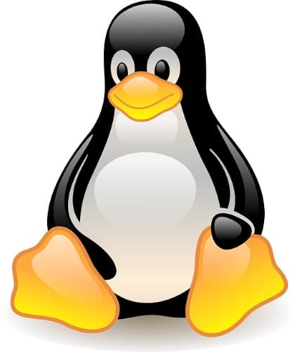 Skidmap Linux