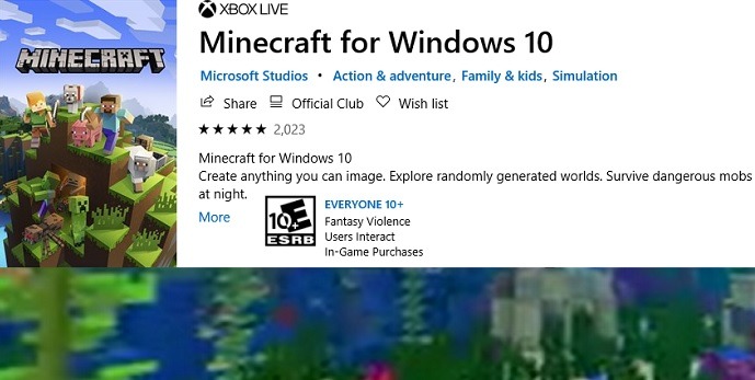 Boutique Windows Minecraft