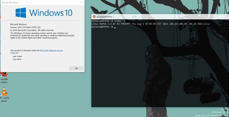 Windows 10 pourra bientôt accéder aux fichiers WSL de Linux