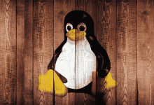 5 des meilleures distributions Linux pour les débutants