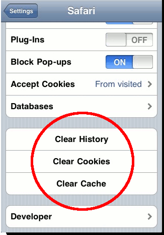 iPhone-ClearHistory