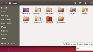 Comment ramener Nautilus « recherche par saisie anticipée » dans Ubuntu 18.04