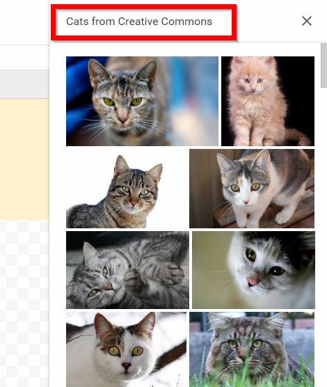 get-creative-with-google-drawings-annotated-diagrams-cats-cc