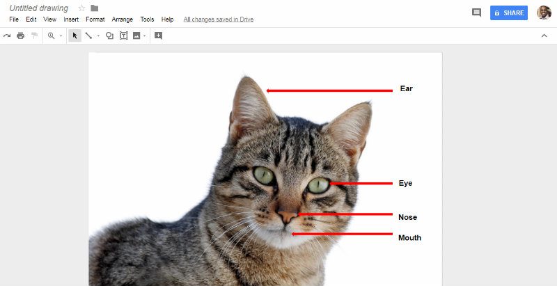 get-creative-with-google-drawings-annotated-diagrams-cat