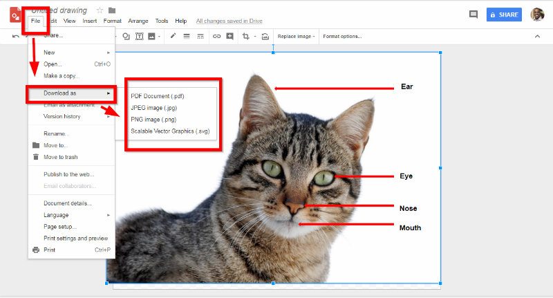 get-creative-with-google-drawings-annotated-diagrams-cat-download-as