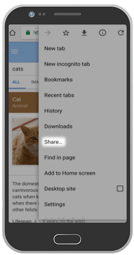 windows-android-share-continuer