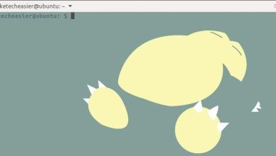 Comment personnaliser votre terminal Linux avec des skins Pokemon