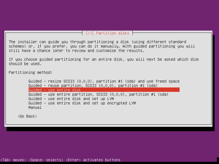 litchi-ubuntu-server-partition-layout-guided