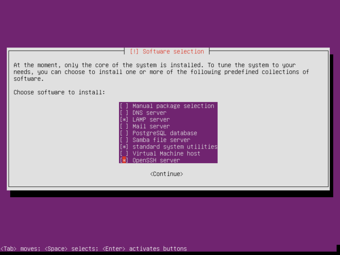 litchi-ubuntu-server-select-packages