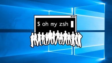 Comment installer zsh et Oh My Zsh sous Windows 10