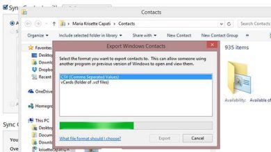 Comment exporter des contacts iPhone vers un fichier CSV sous Windows 8