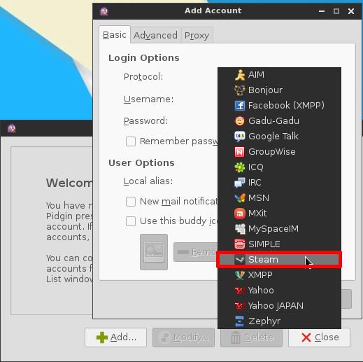 Connectez-vous à votre compte Steam dans Pidgin.