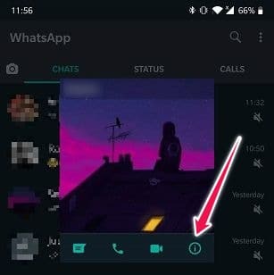 Comment envoyer des messages qui disparaissent Android Whatsapp Contact Info