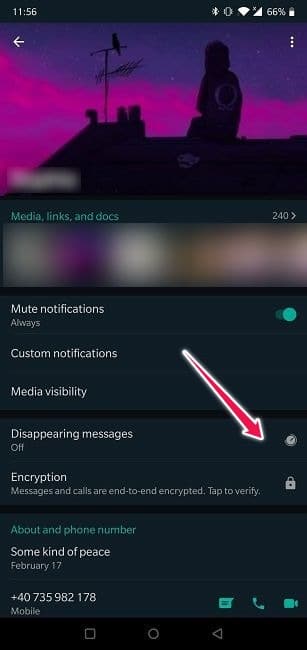 Comment envoyer des messages disparaissants Android Whatsapp Disappearing Feature Off