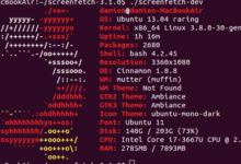 Découvrez vos informations système dans le terminal avec ScreenFetch