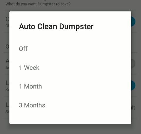 Dumpster_Auto_Clean